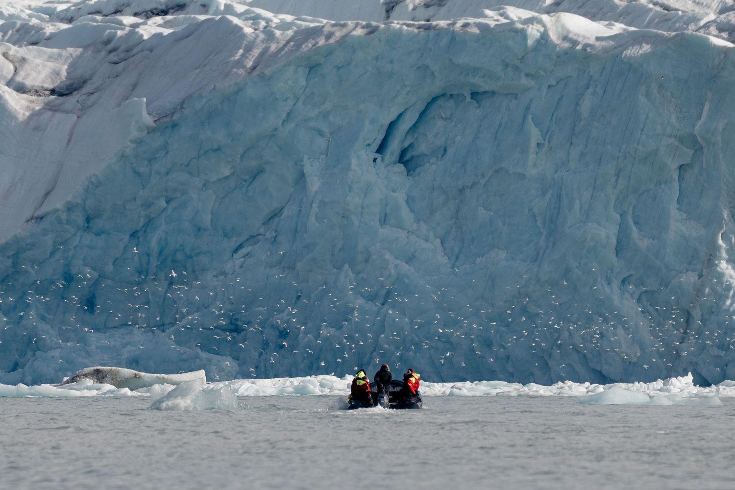 Zodiac au pied d'un front glaciaire survolé d'une nuée d'oiseaux, échelle saisissante, glacier du 14 juillet