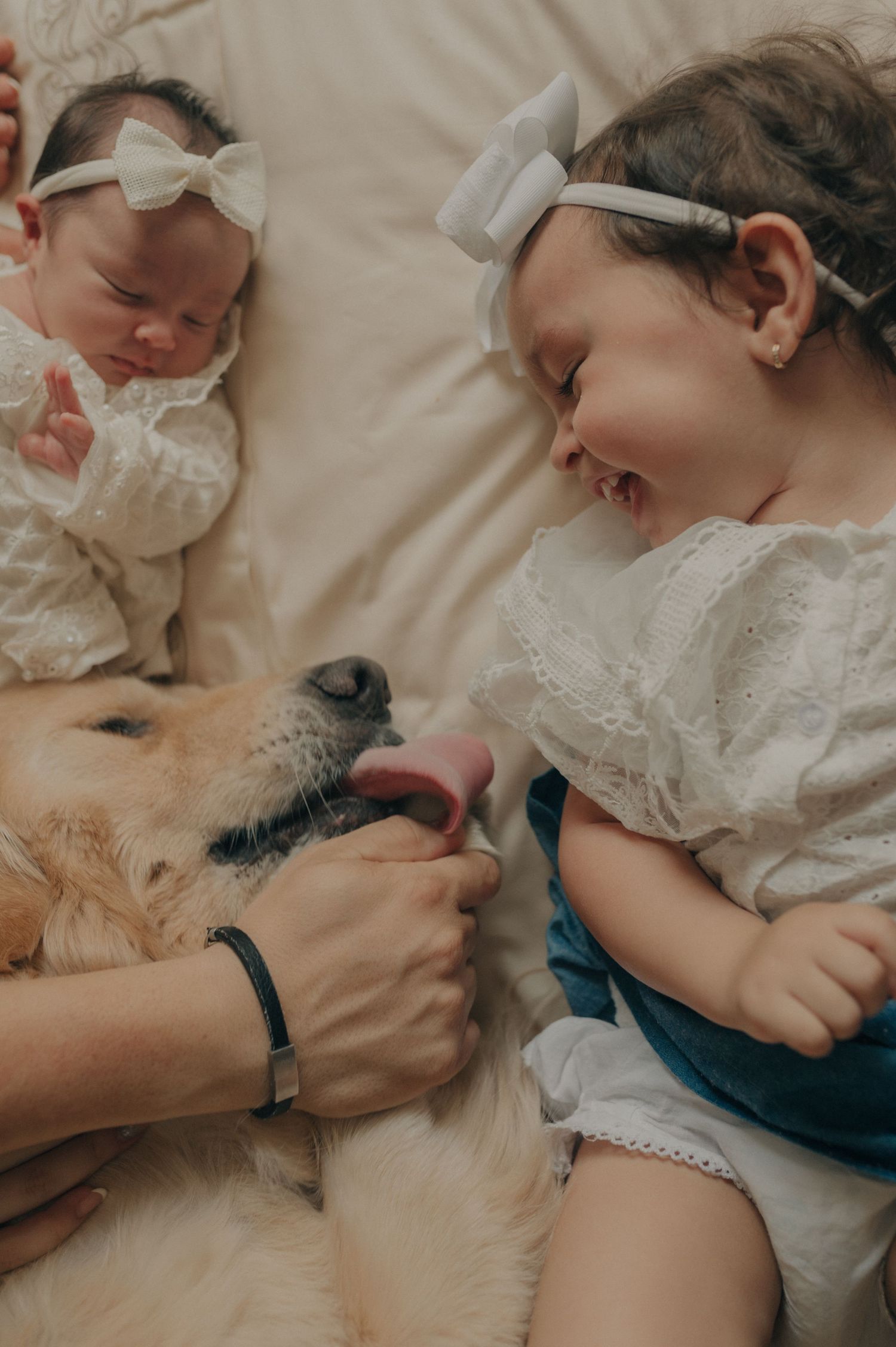 Heartwarming scene of baby, child and golden retriever sharing joyful moment on bed.
