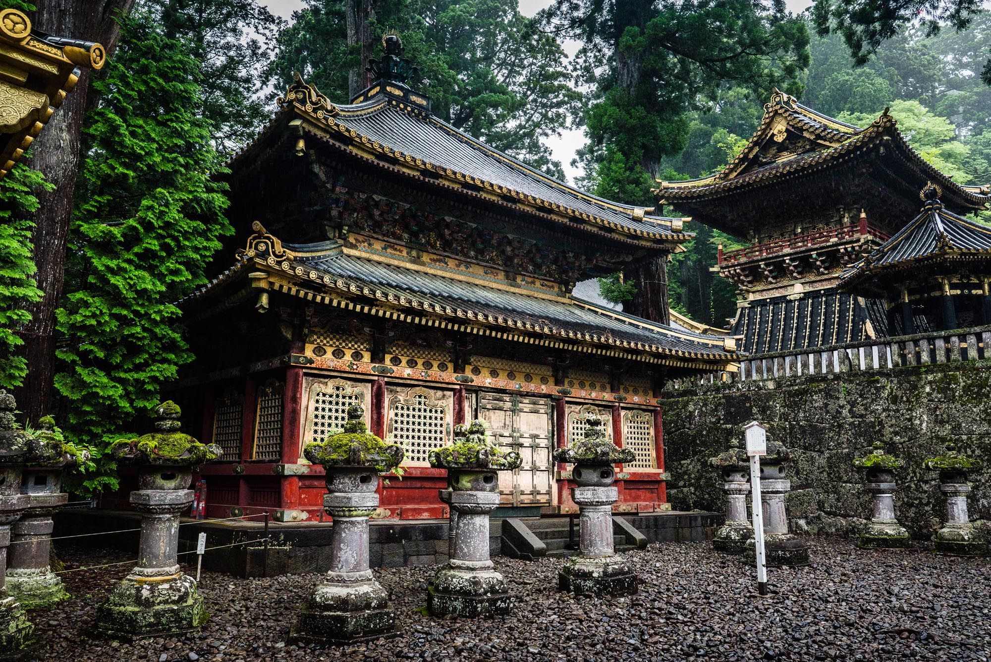 Ornate Japanese Shinto shrine with gold detailing, red accents, and stone lanterns surrounded by lush green forest in Nikko, Japan.