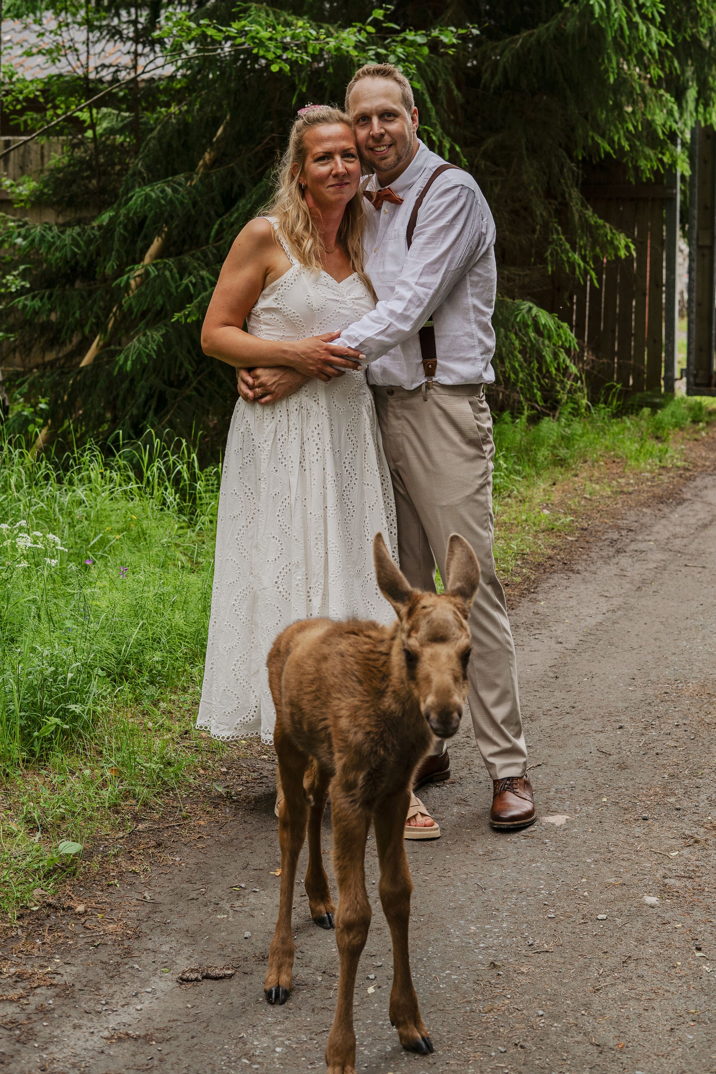 Brudpar och älgkalv i en unik bröllopsfotografering i Ockelbo.