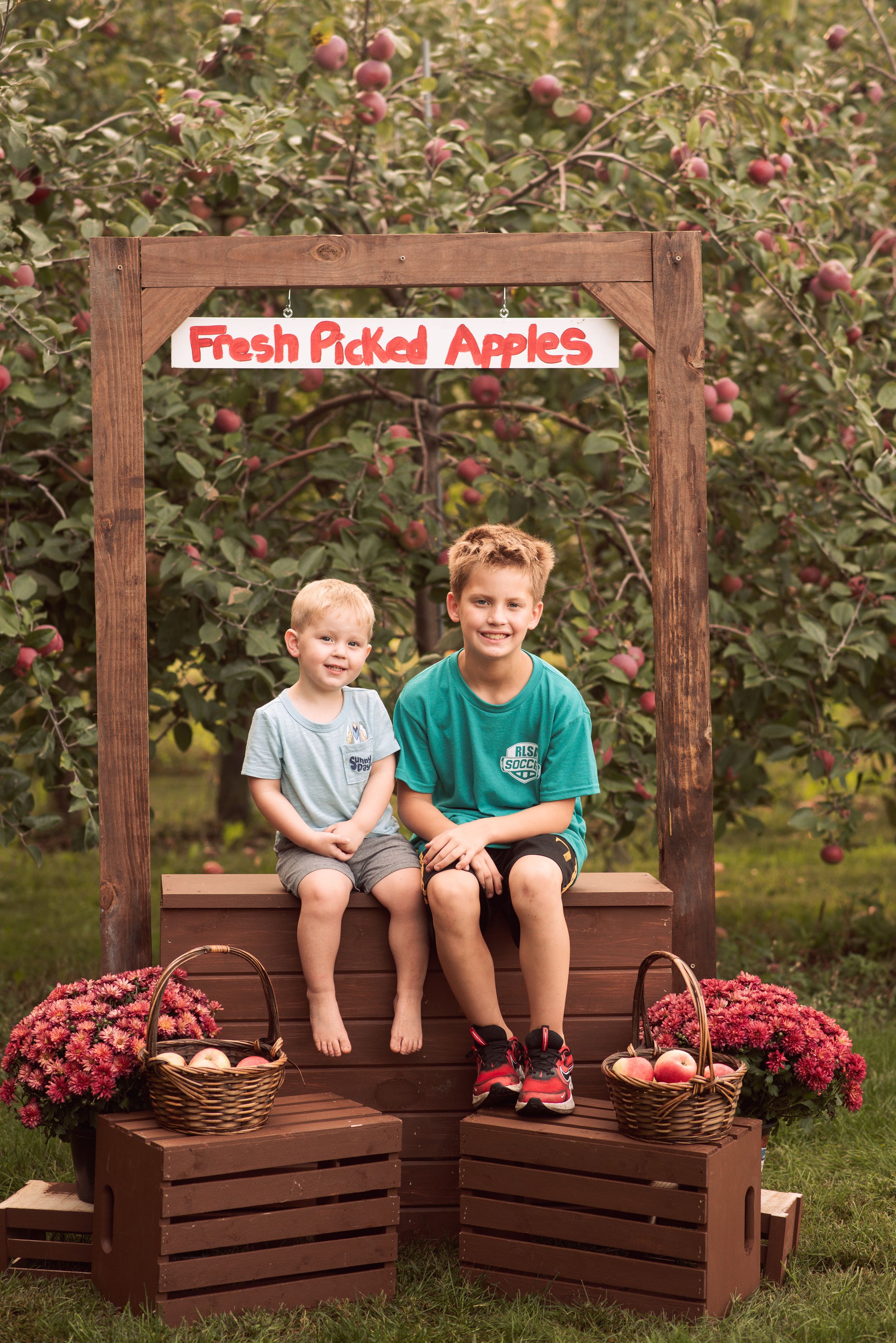 Two boys sitting at a rustic fresh picked apples stand in an orchard, surrounded by baskets of apples and mums.
