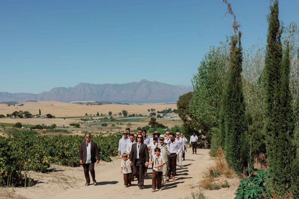 Wedding guests walk along a dusty vineyard path with cypress trees and mountain backdrop on a sunny day.