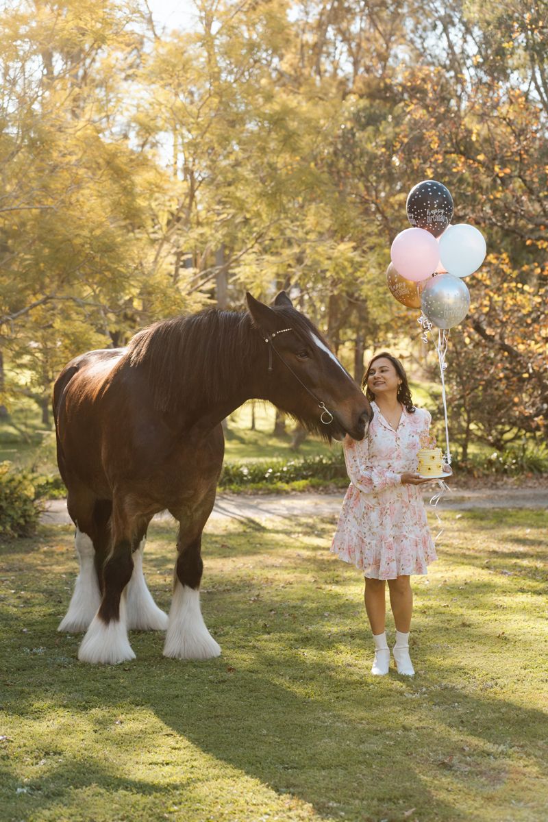 Young woman in floral dress holds colorful balloons beside a large brown Shire horse in a sunny property during a photoshoot with a horse.