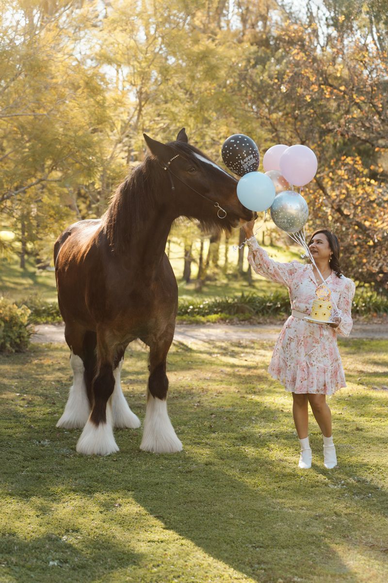 Woman in floral dress holds colorful balloons near a large brown Shire horse at a private property in Sydney during a horse photoshoot