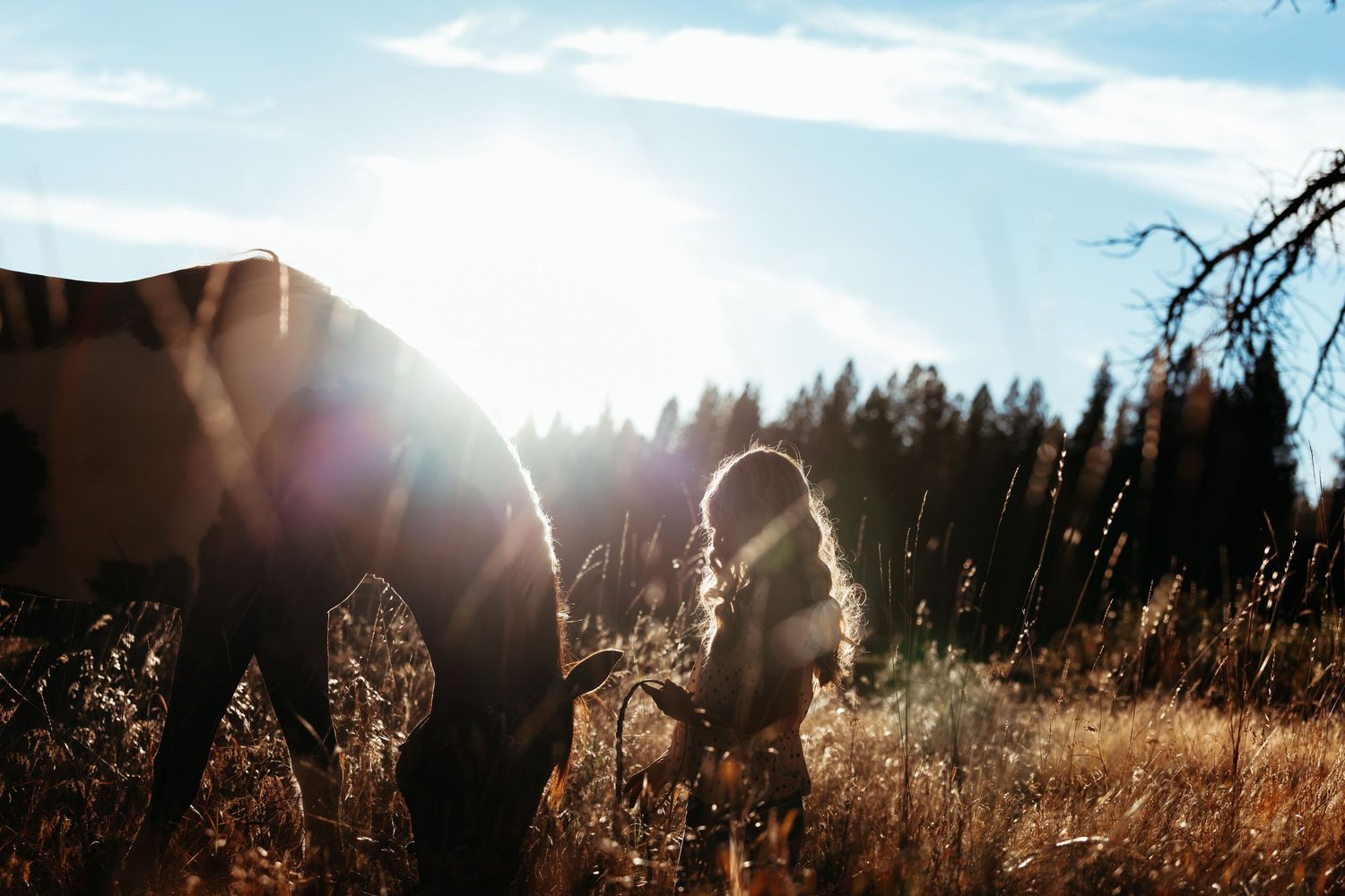 A girl stands beside a grazing horse in a sunlit golden field with pine trees in the background.