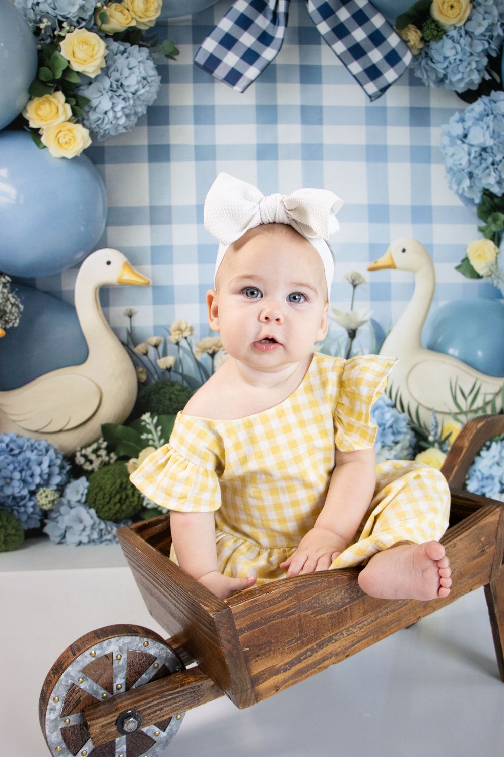 Baby girl in yellow gingham dress sitting in wooden wheelbarrow with duck decorations and blue floral backdrop.