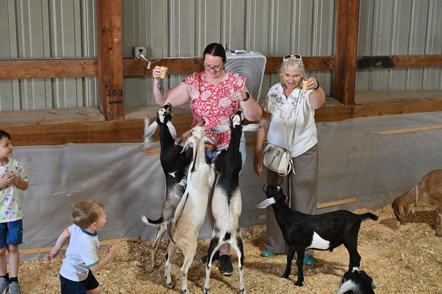 Family enjoying a candid animal encounter during a Rockford area outing