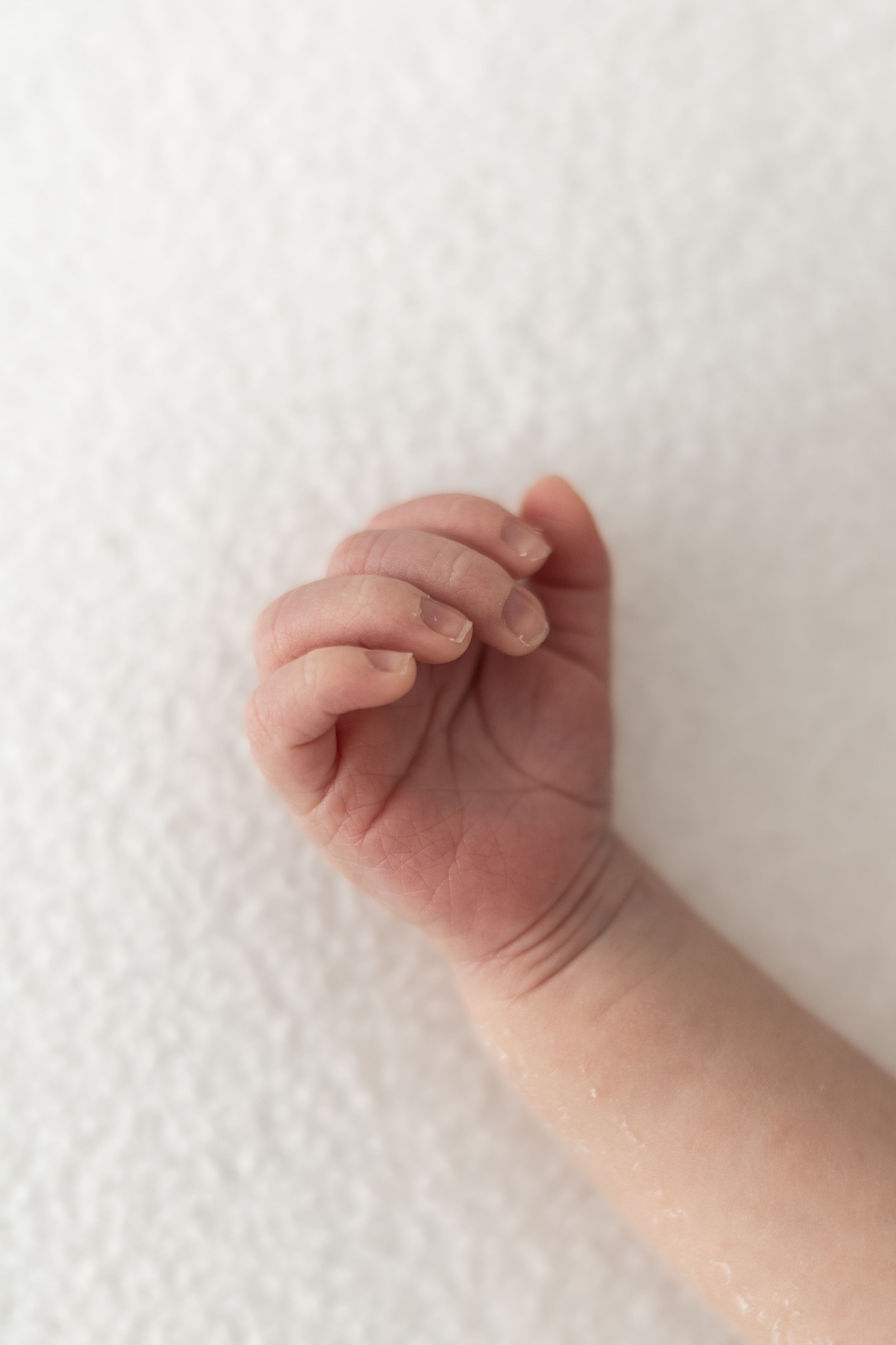 Close-up of a newborn baby's tiny hands and fingers during a photography session