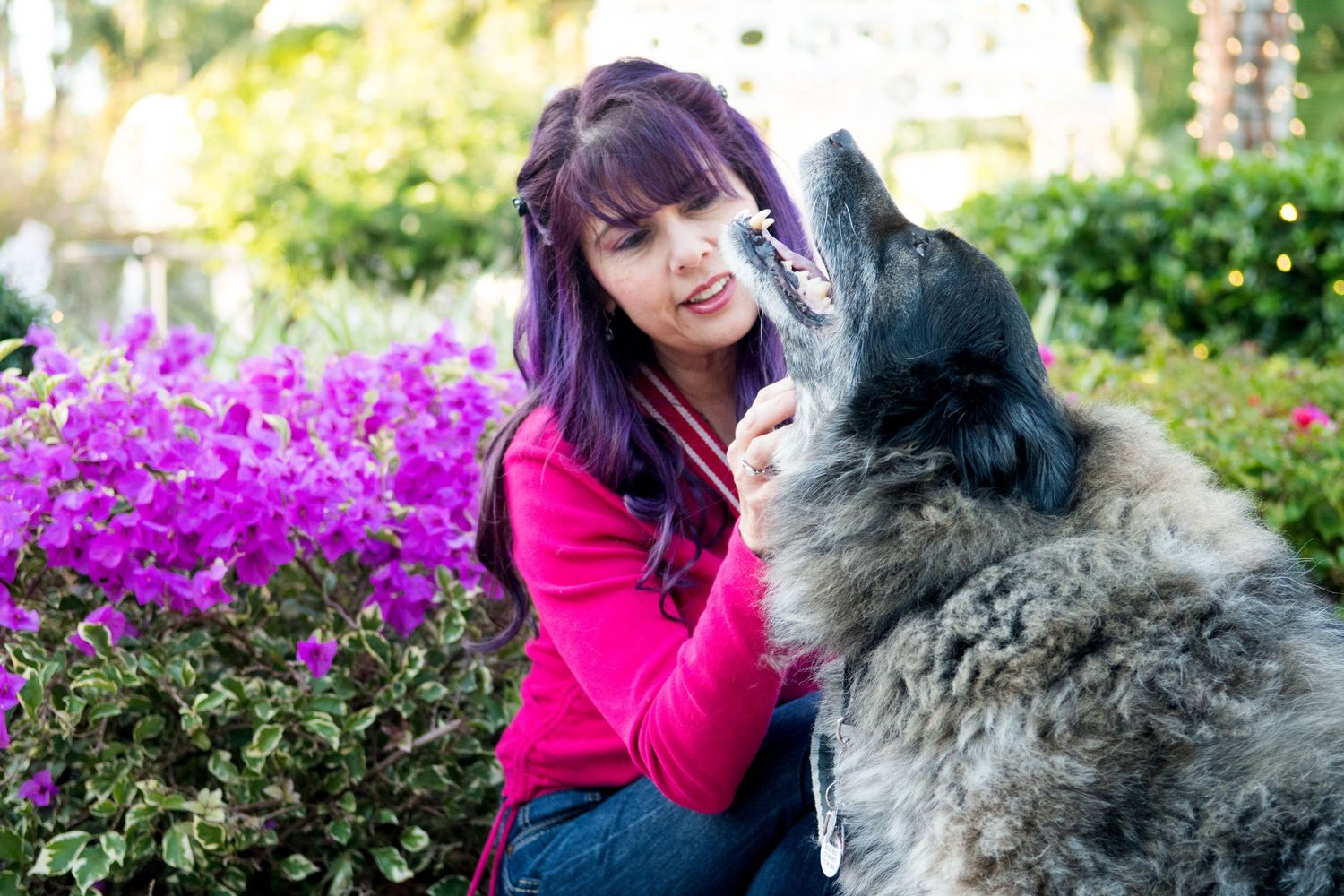 Rascal enjoying one of his outdoor adventures with Blue Merle Photography