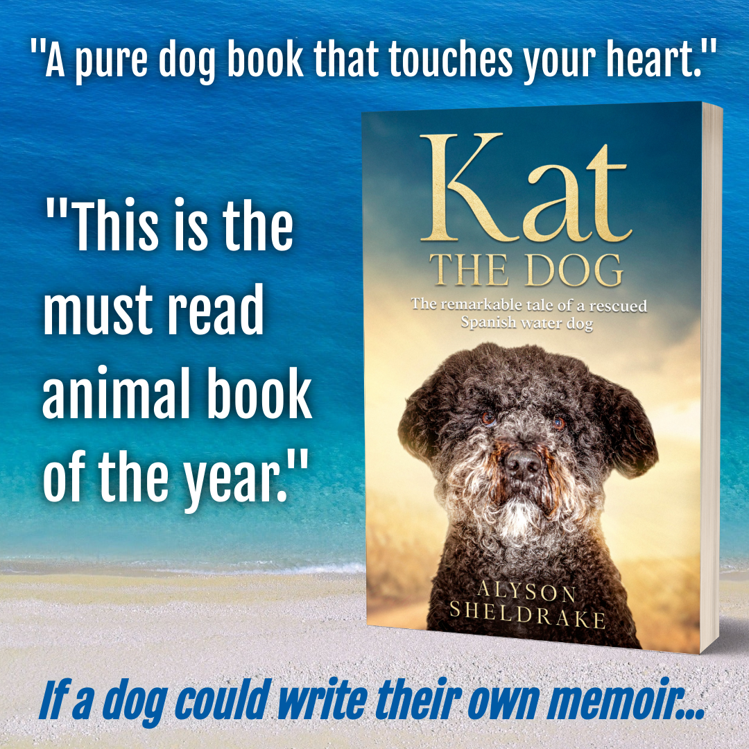 Kat the Dog book by Alyson Sheldrake described as the must read animal book of the year..