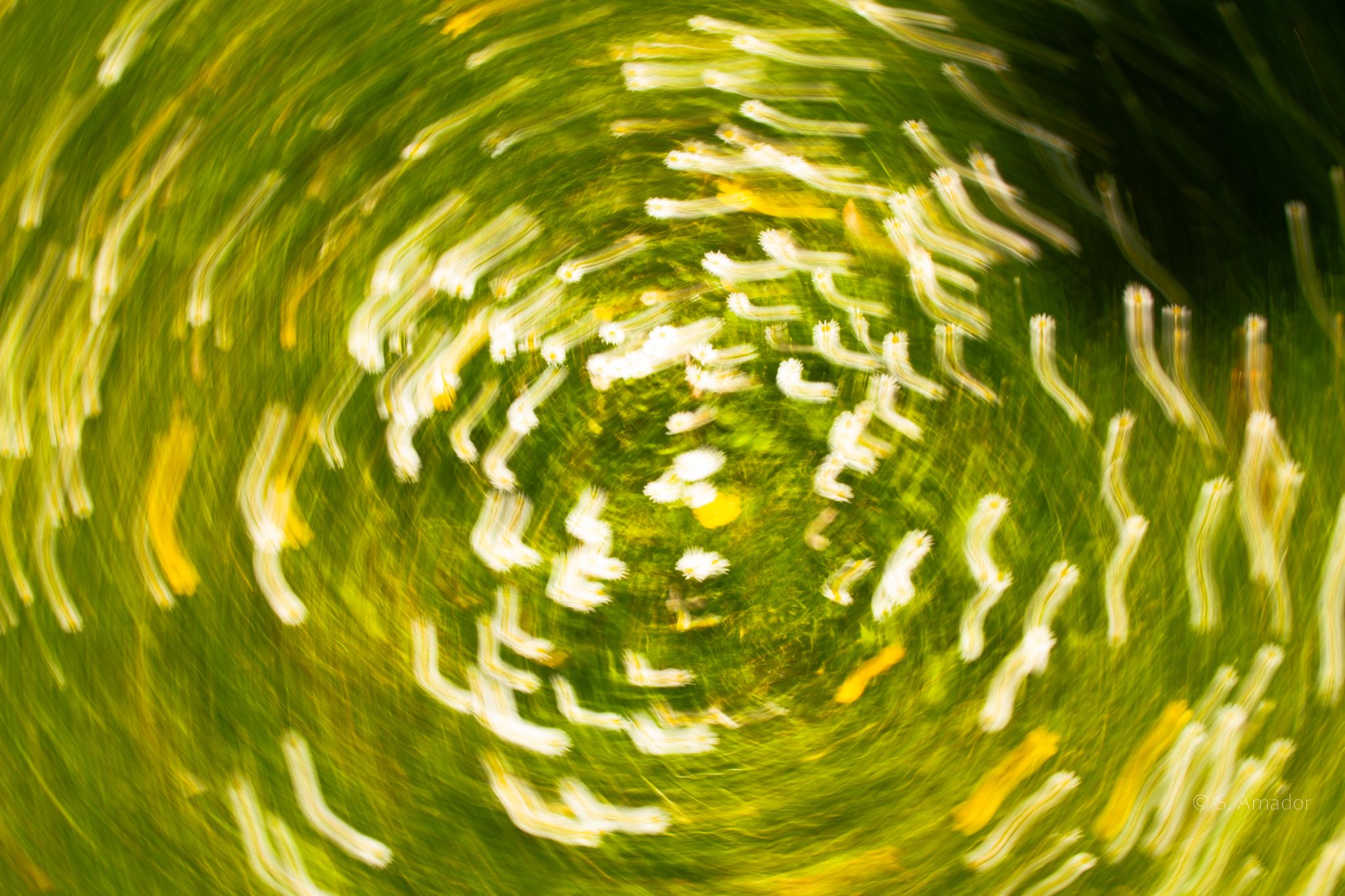 Abstract swirling green and yellow bokeh motion blur creating a hypnotic spiral pattern.