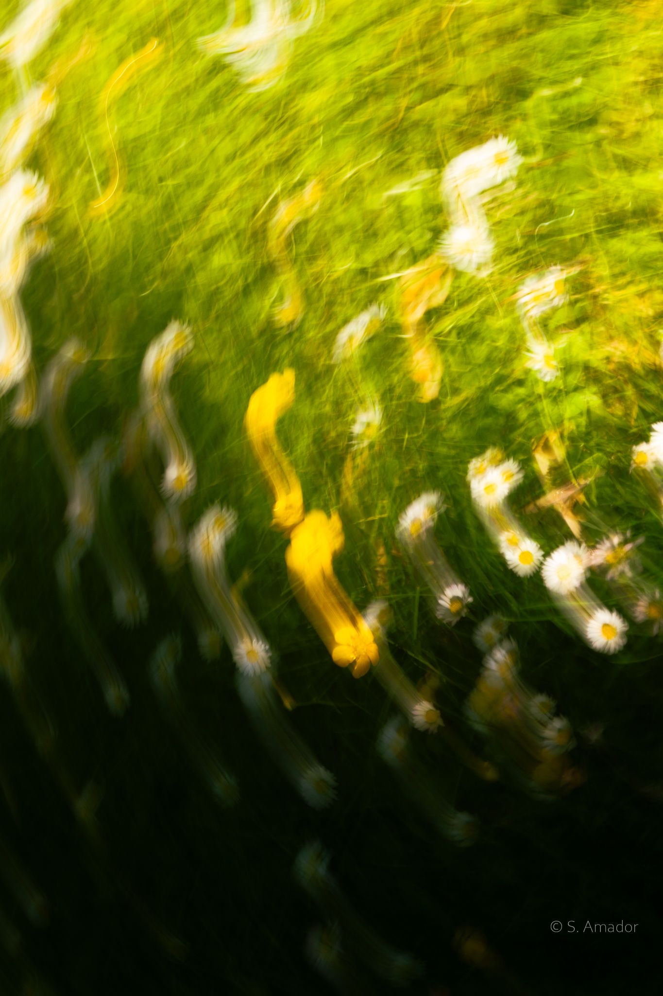 Abstract swirling motion blur of green grass, white daisies, and yellow flowers creating a dreamy spinning effect.