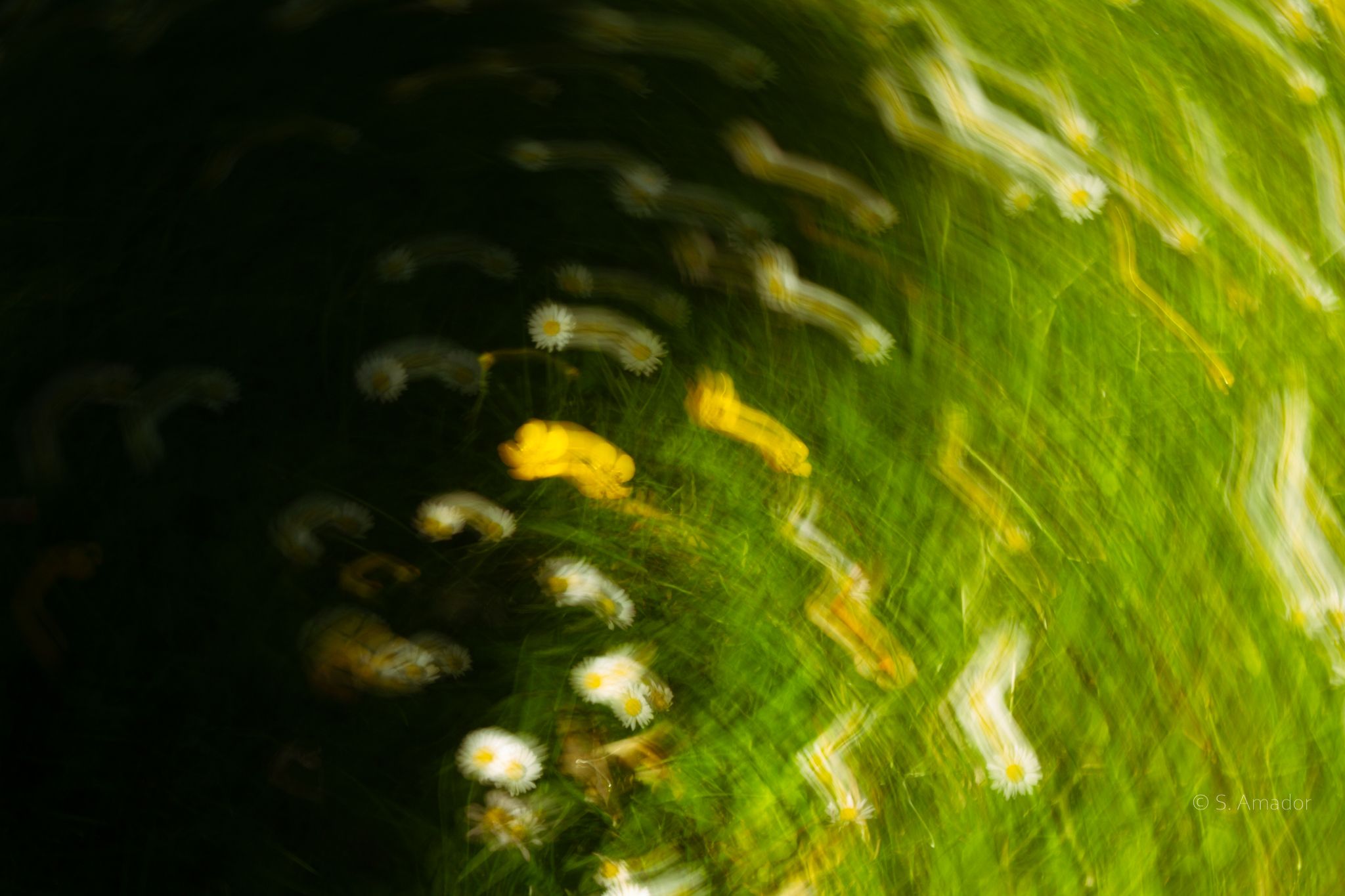 Abstract blurred green bokeh background with yellow and white light spots in swirling motion.