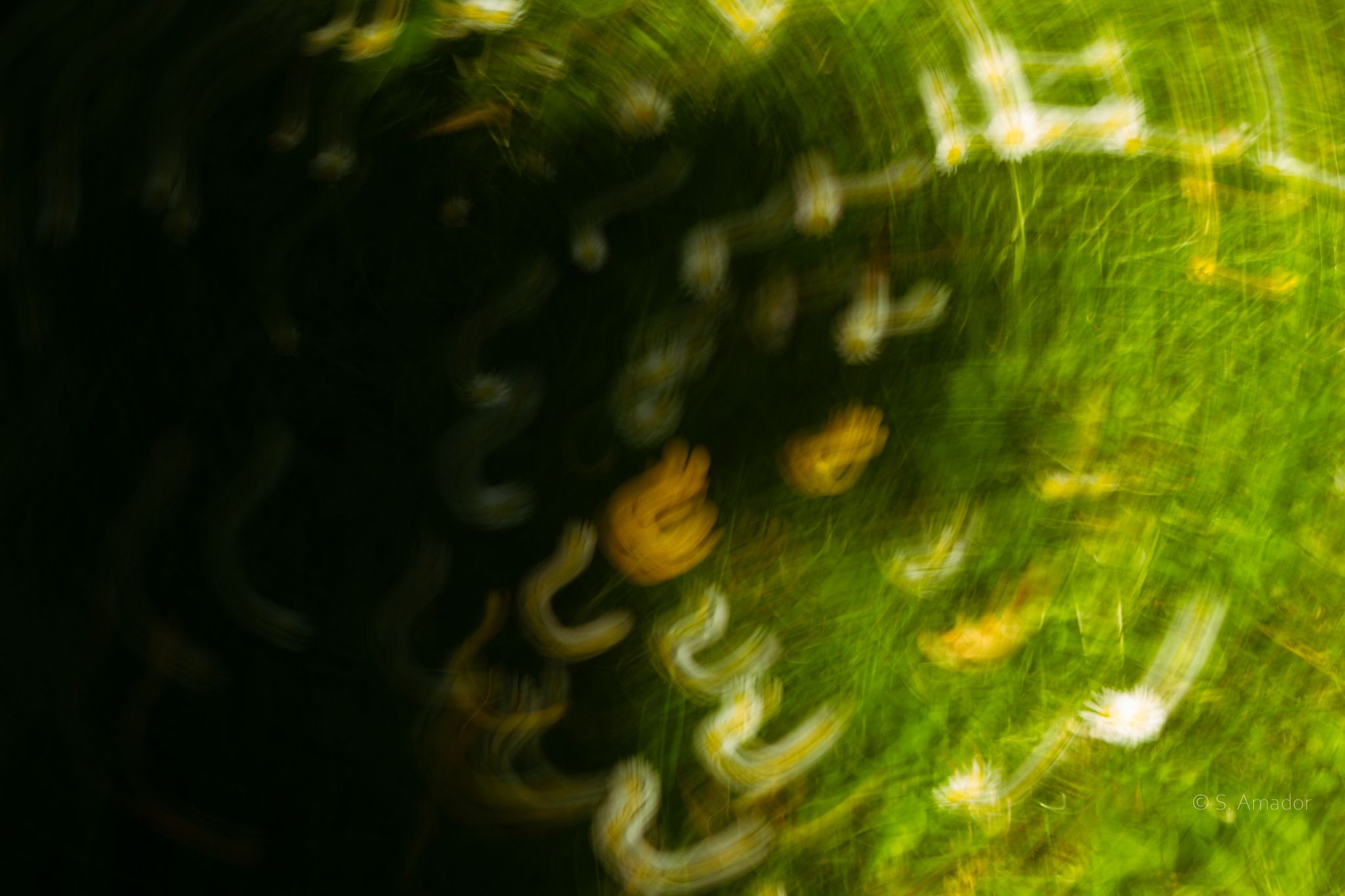 Abstract blurred green swirl with bokeh light effects creating a dreamy motion blur nature background.