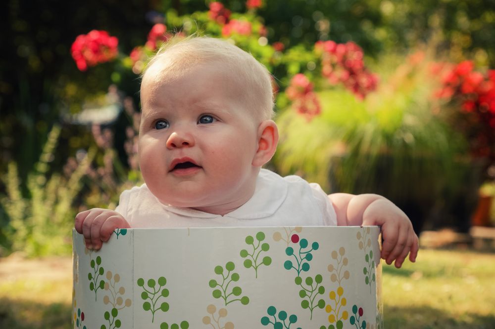 Süße Kinderbilder beim Familienshooting im Garten – Familienfotografie Ebermannstadt – Lichtkapsel Fotografie