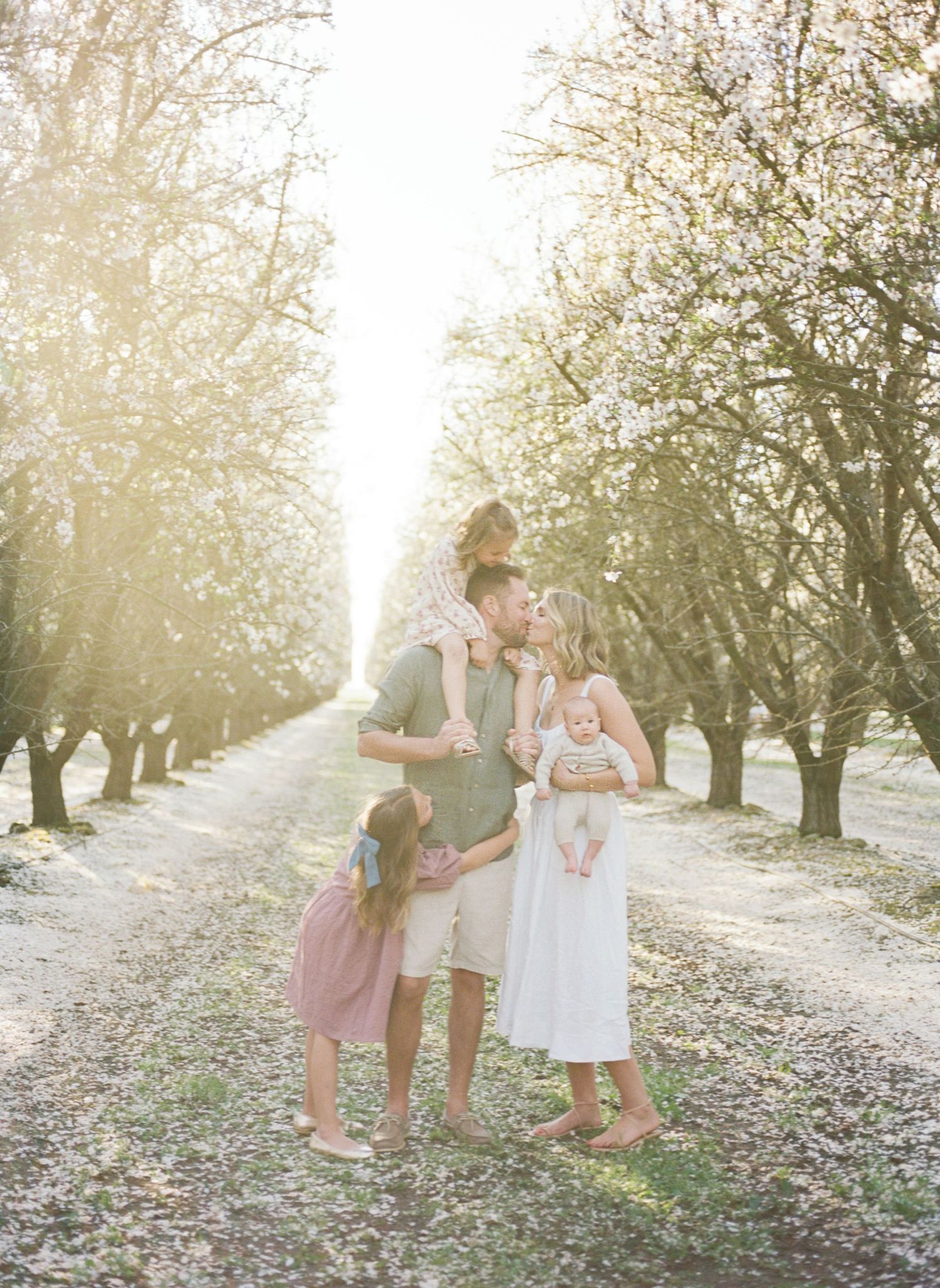 Family posing in a sunlit orchard with blossoming trees, parents kissing while holding children in a dreamy outdoor setting.