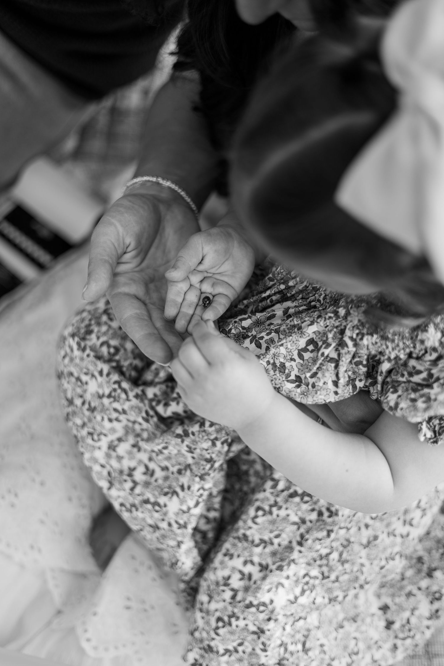 Black and white photo of elderly hands gently holding a small child's hand, showing generational bond | Boulder Family Photographer