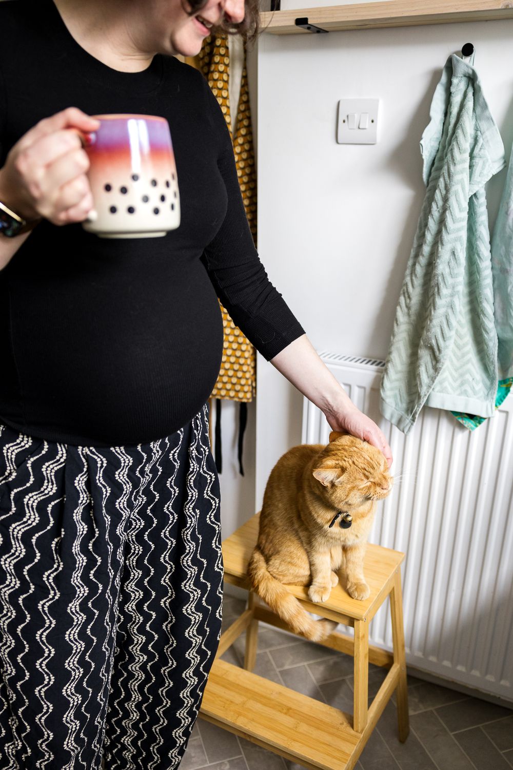 pregnant woman stroking ginger cat