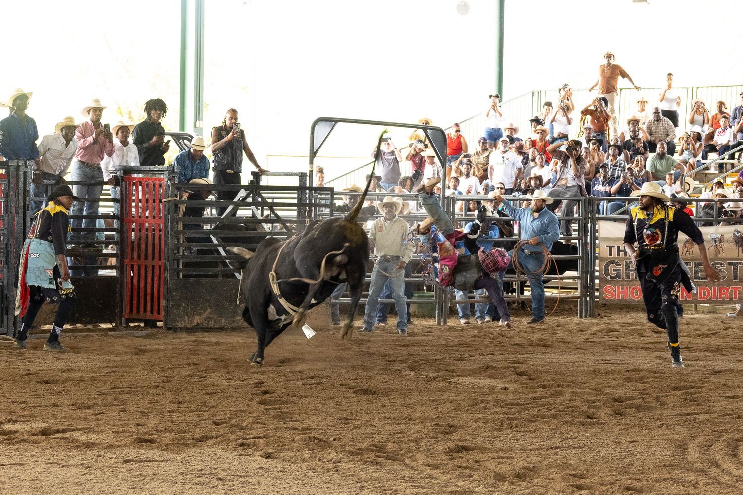 Rodeo