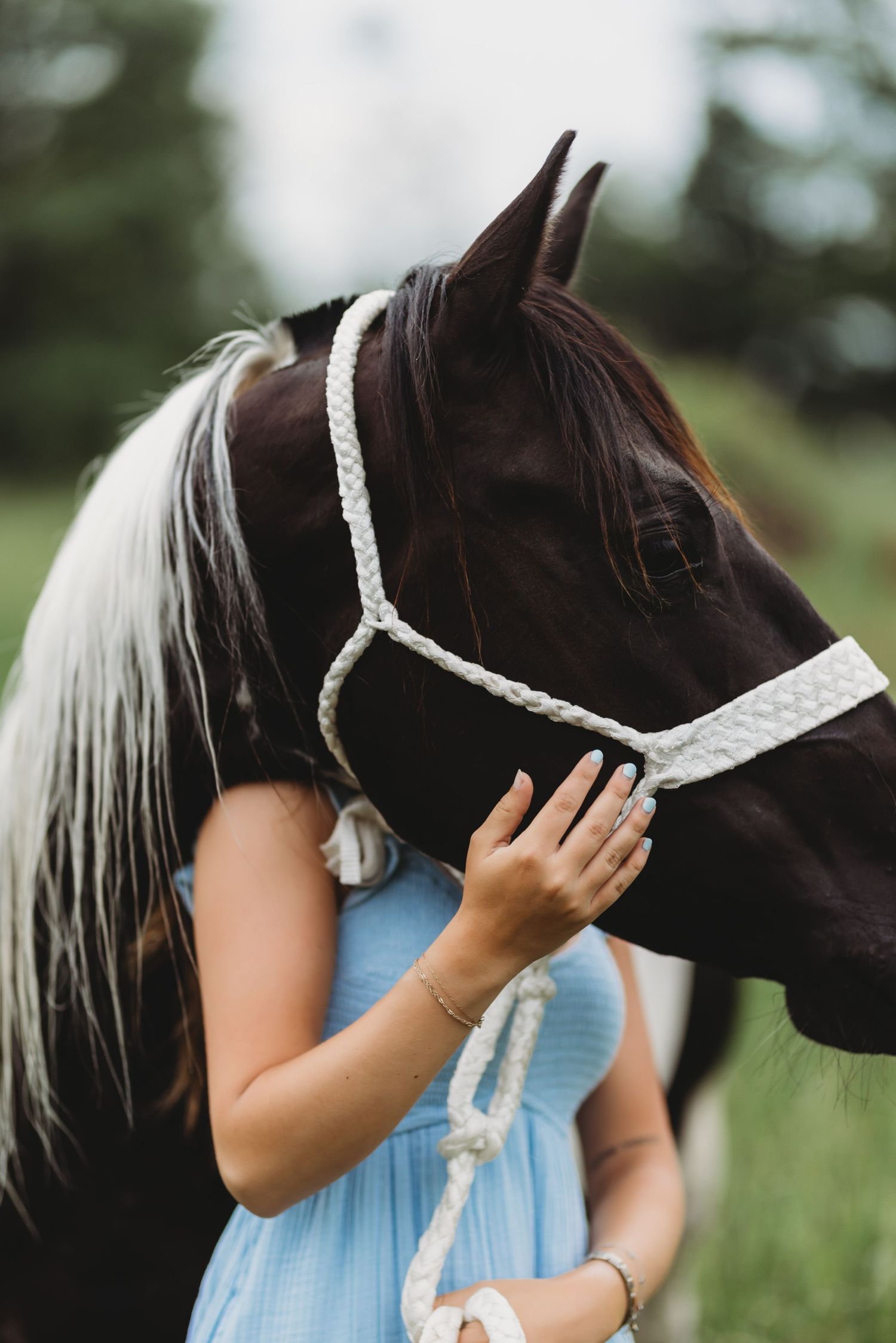 Woman in blue dress gently touching a dark brown horse wearing a white braided halter outdoors.
