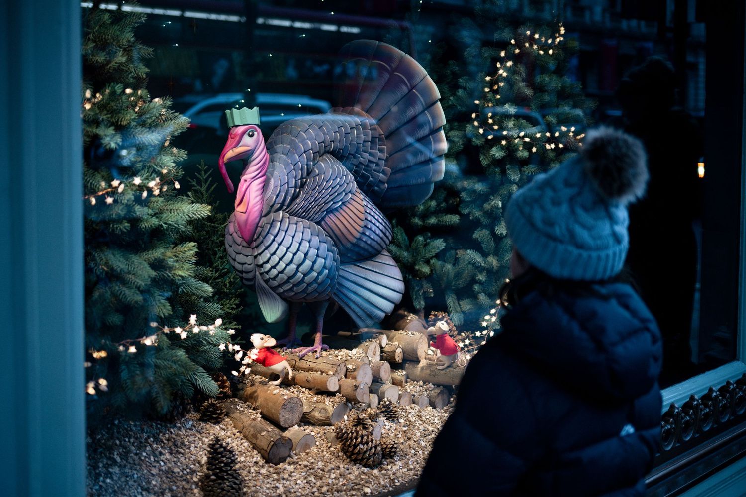 Child in winter hat gazes at festive window display featuring a large turkey statue amid Christmas trees and twinkling lights.
