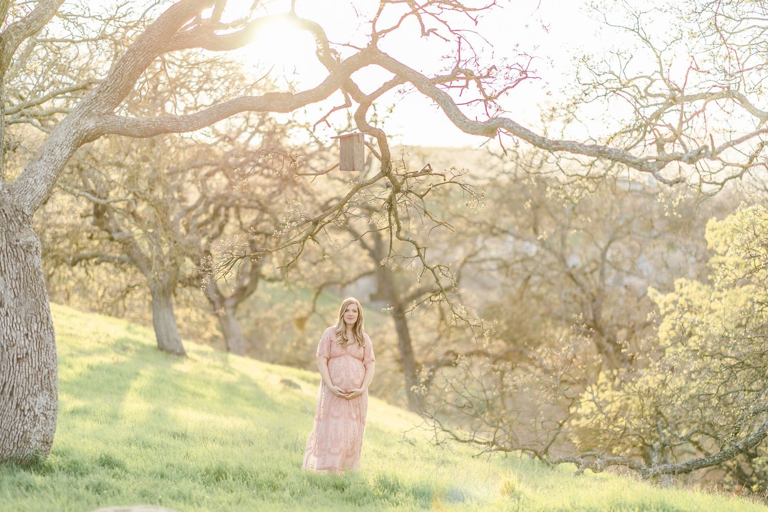 Pregnant woman in pink dress standing among oak trees on a sunlit green hillside during golden hour.