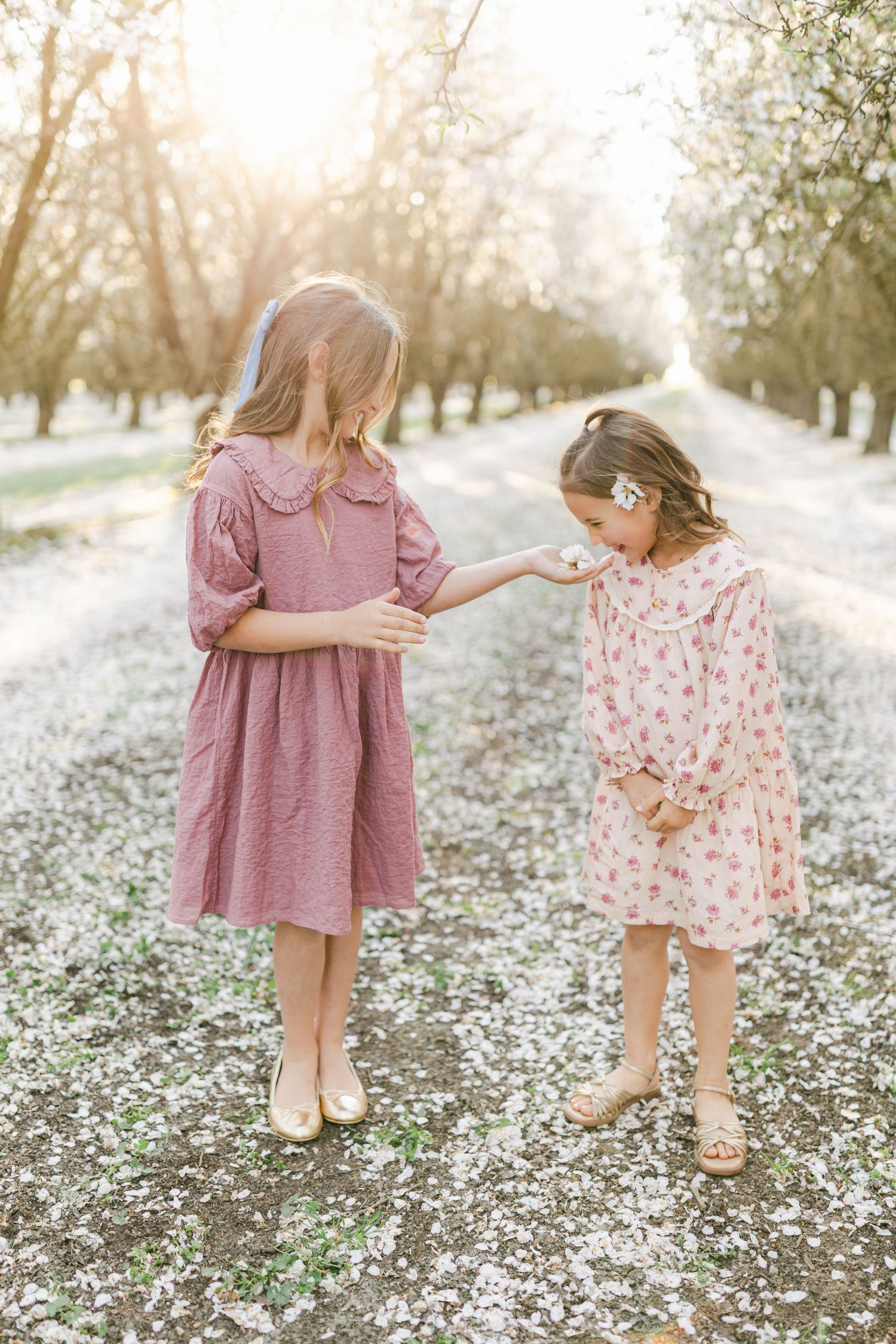 Two young girls in floral and pink dresses stand on a petal-covered path in a sunlit orchard smelling the almond blossoms