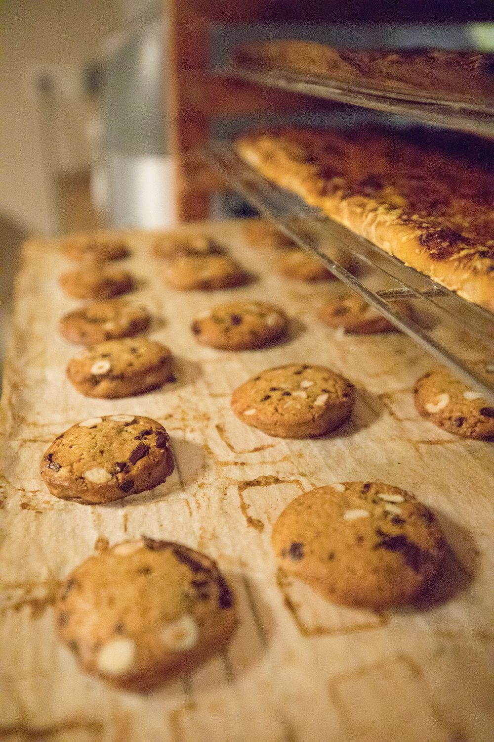 Freshly baked chocolate chip cookies cooling on parchment paper in a professional bakery with rack shelves in background.