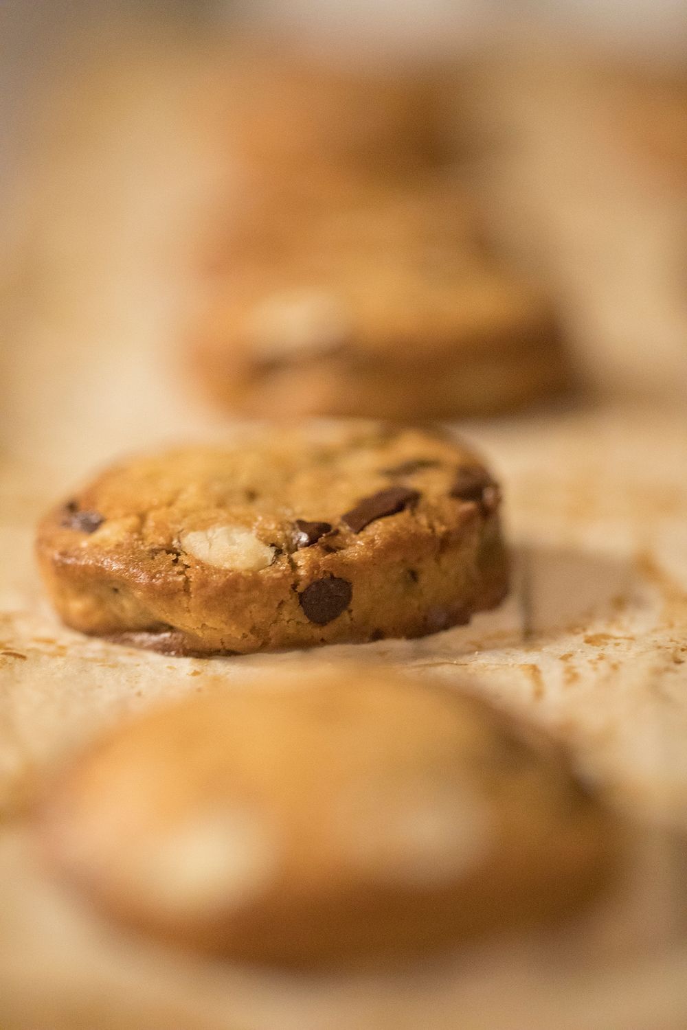 Close-up of golden brown chocolate chip cookies with nuts on parchment paper in a rustic bakery setting.