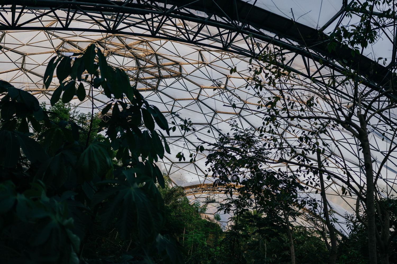 Interior view of a large geodesic dome greenhouse with lush tropical plants and trees growing beneath the glass structure.