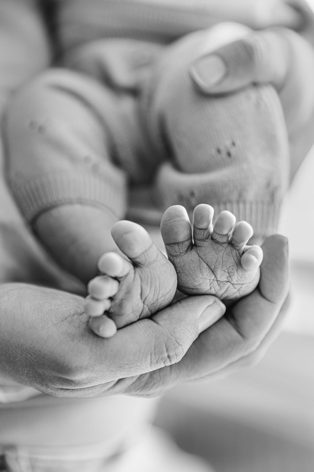 Black and white close-up of tiny newborn baby feet cradled gently in parent's hands.