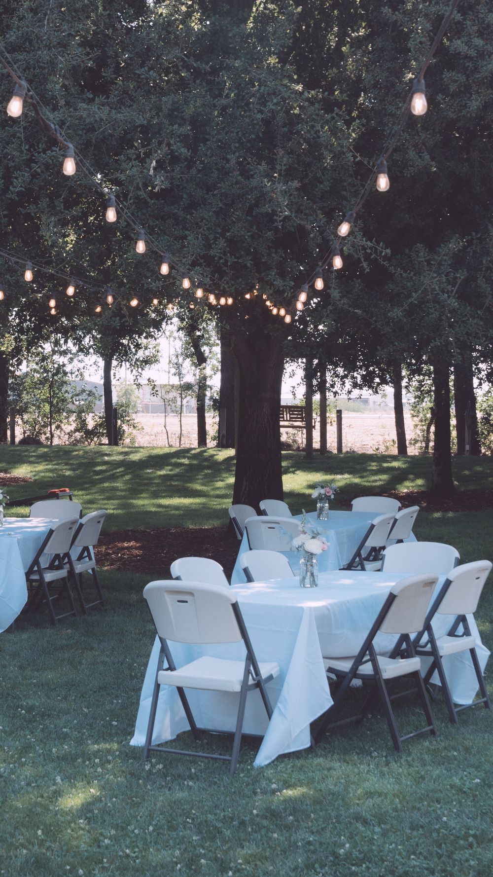 Outdoor event setup with white tables, chairs, and string lights hanging among trees.