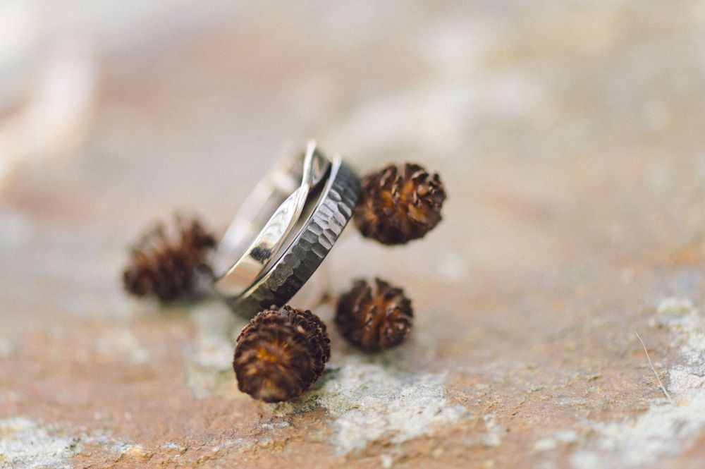 Wedding rings displayed creatively with small pinecones in a rustic setting.