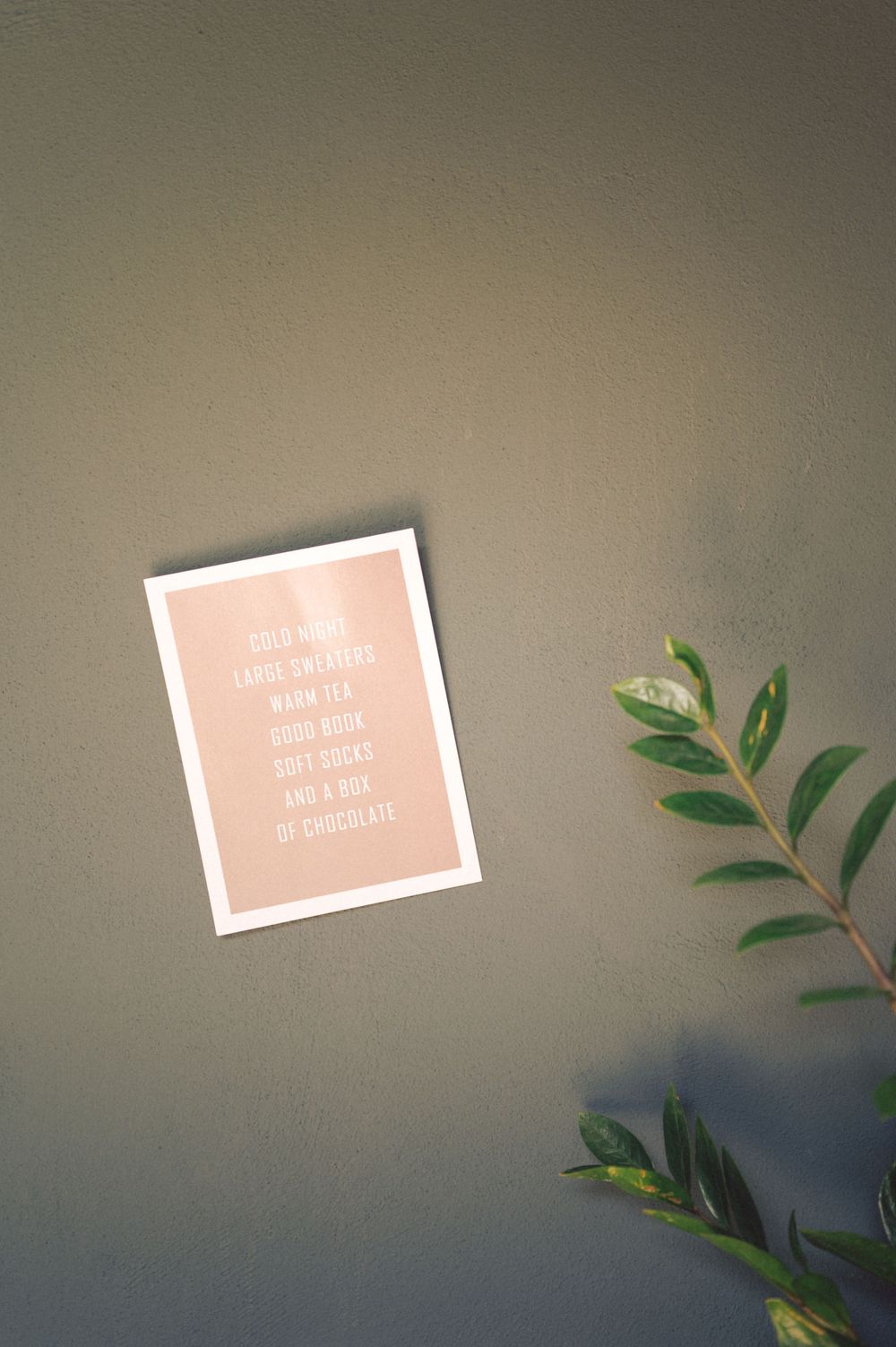 Pink framed quote card on gray wall with green plant leaves in corner.