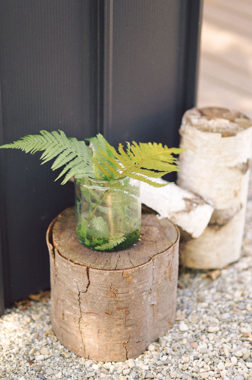 Green fern fronds in glass jar displayed on natural birch log pedestal.