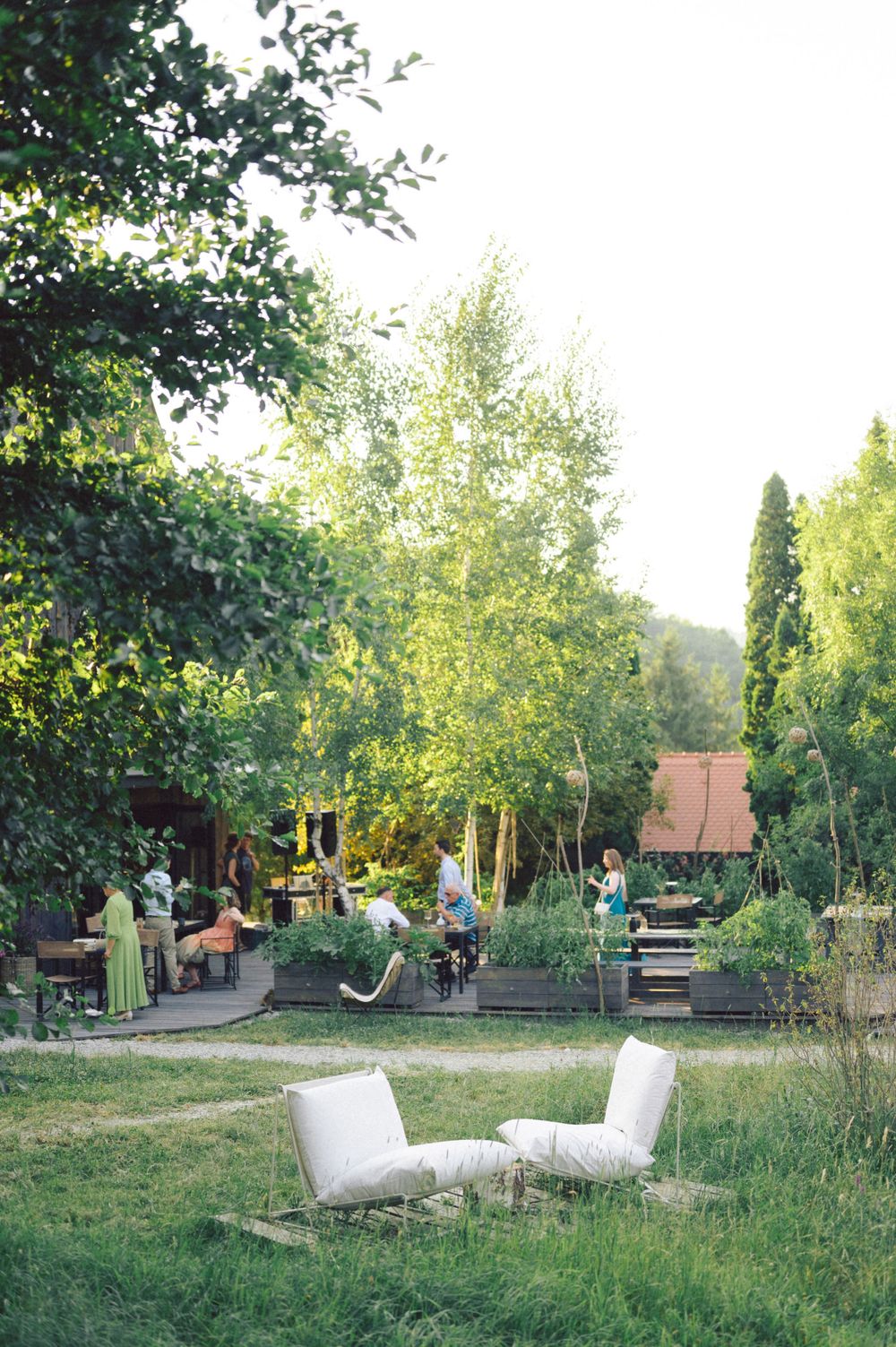 Outdoor garden party setup with white chairs and social gathering in background.
