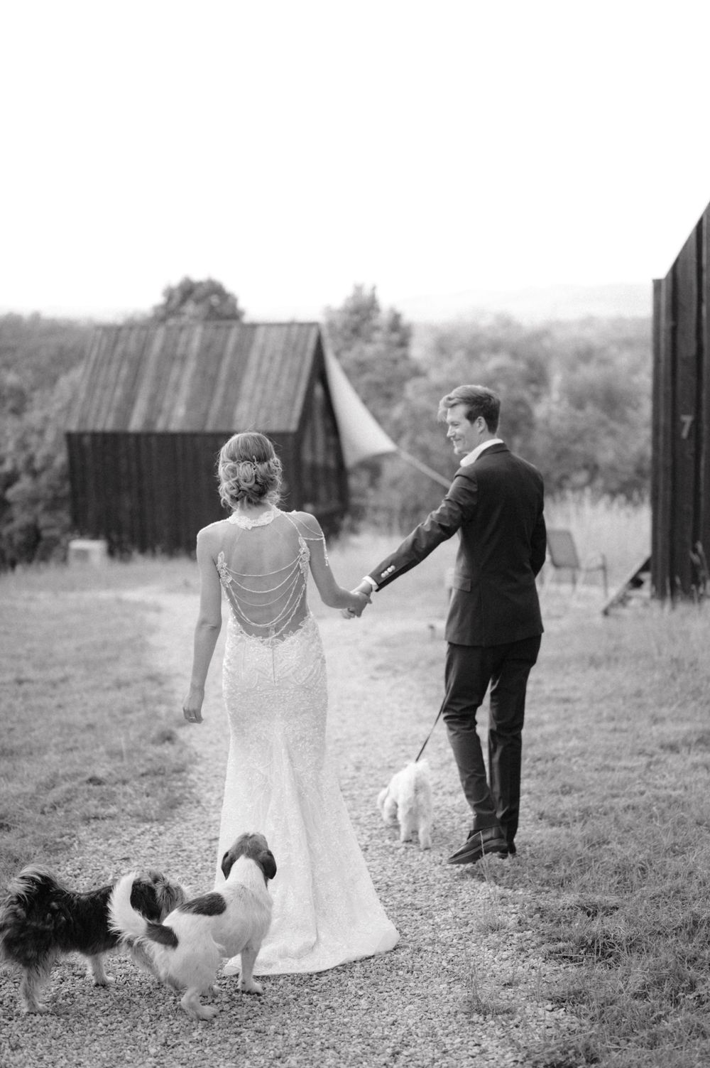 Black and white wedding photo of couple walking with dogs on rural path near barn.