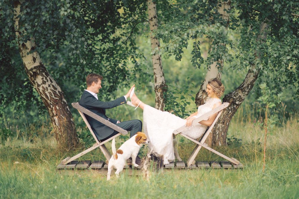 Wedding couple relaxes in deck chairs on grass with their dogs.