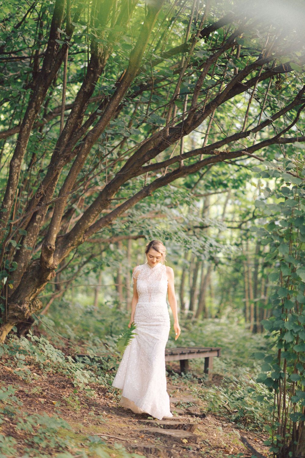 A person in a white lace dress walks along a forest path beneath overhanging trees.