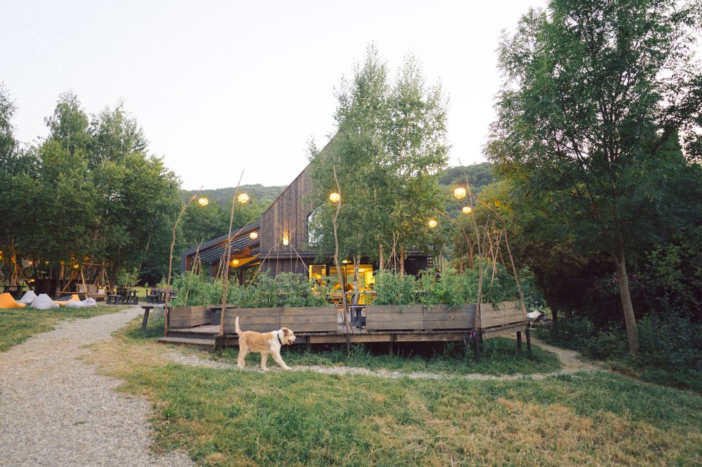 Wooden deck with colorful flags and benches surrounded by trees and garden landscaping.