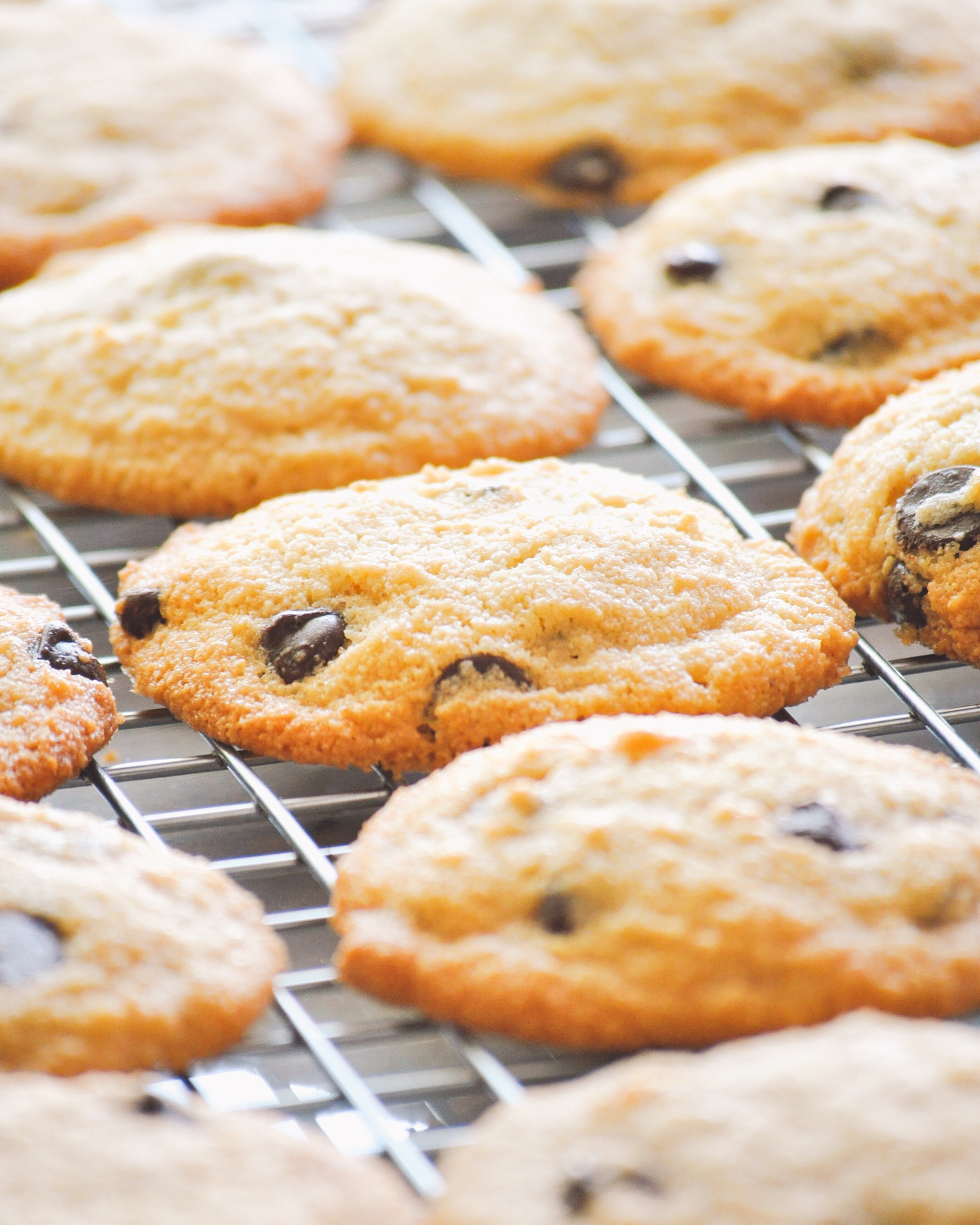 Golden brown chocolate chip cookies with melted chocolate chips cooling on a baking rack.