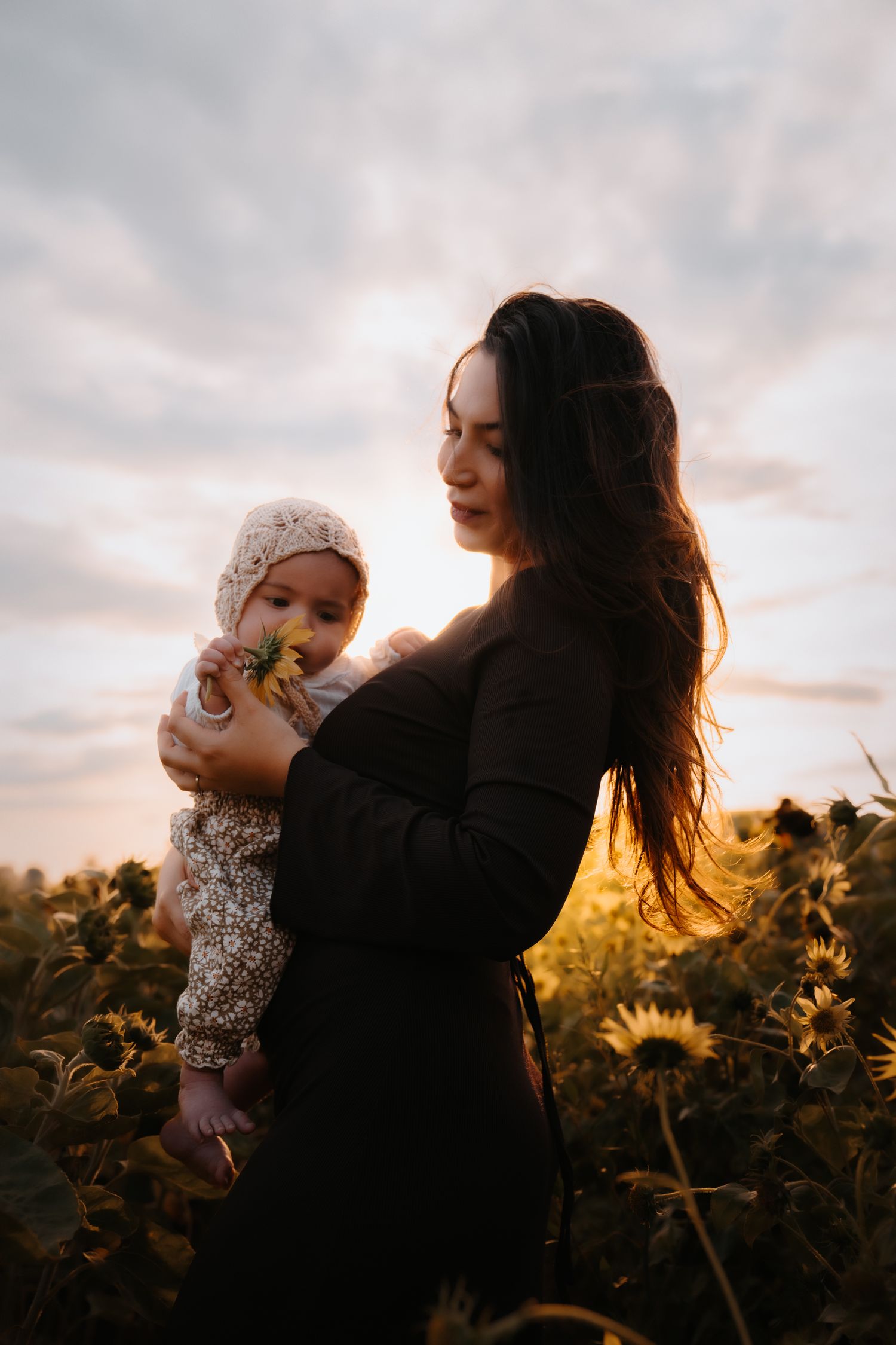 A family shares an intimate moment together in a sun-drenched field at golden hour against a dreamy sunset backdrop.