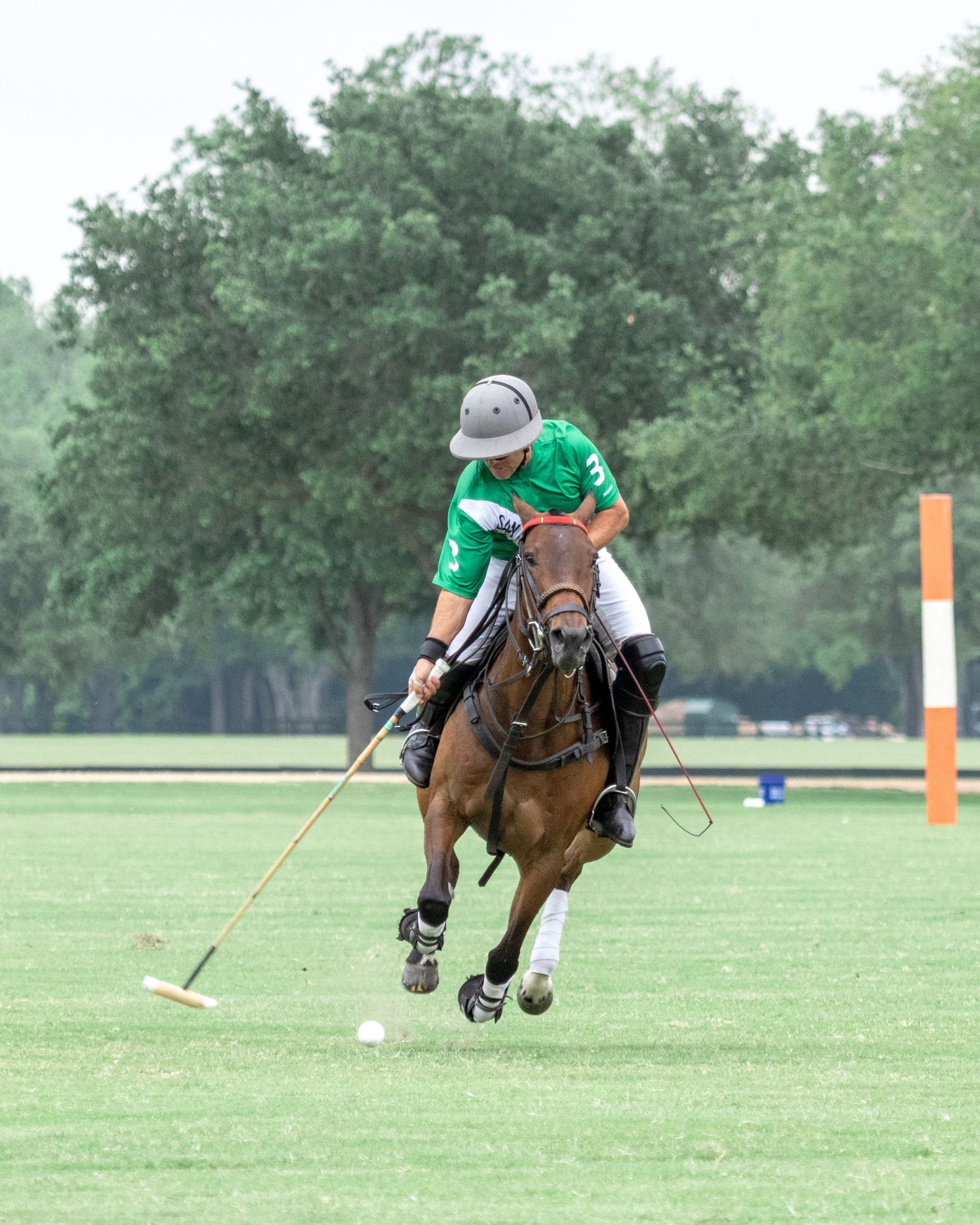 Polo