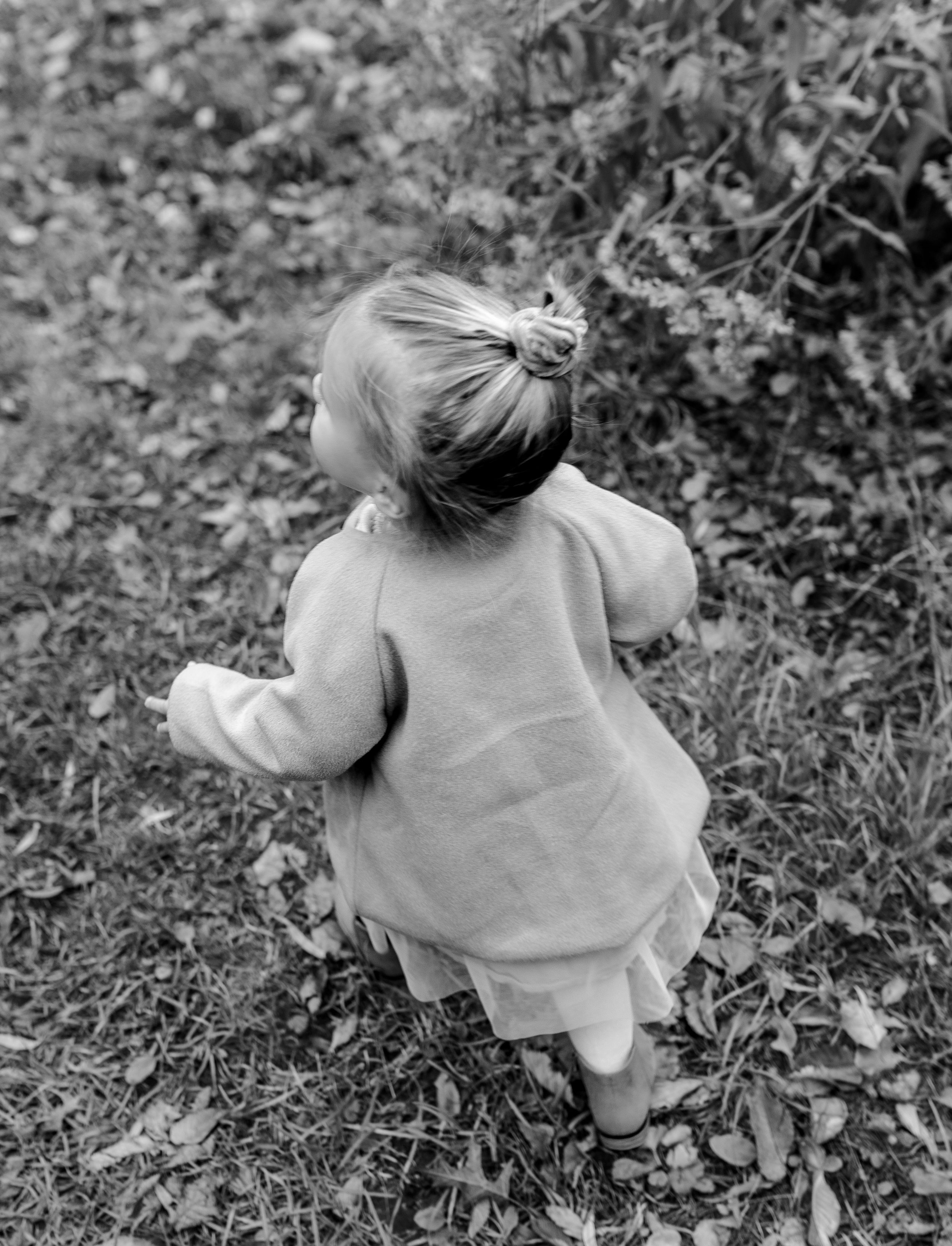 Back view of small child walking through fallen autumn leaves.