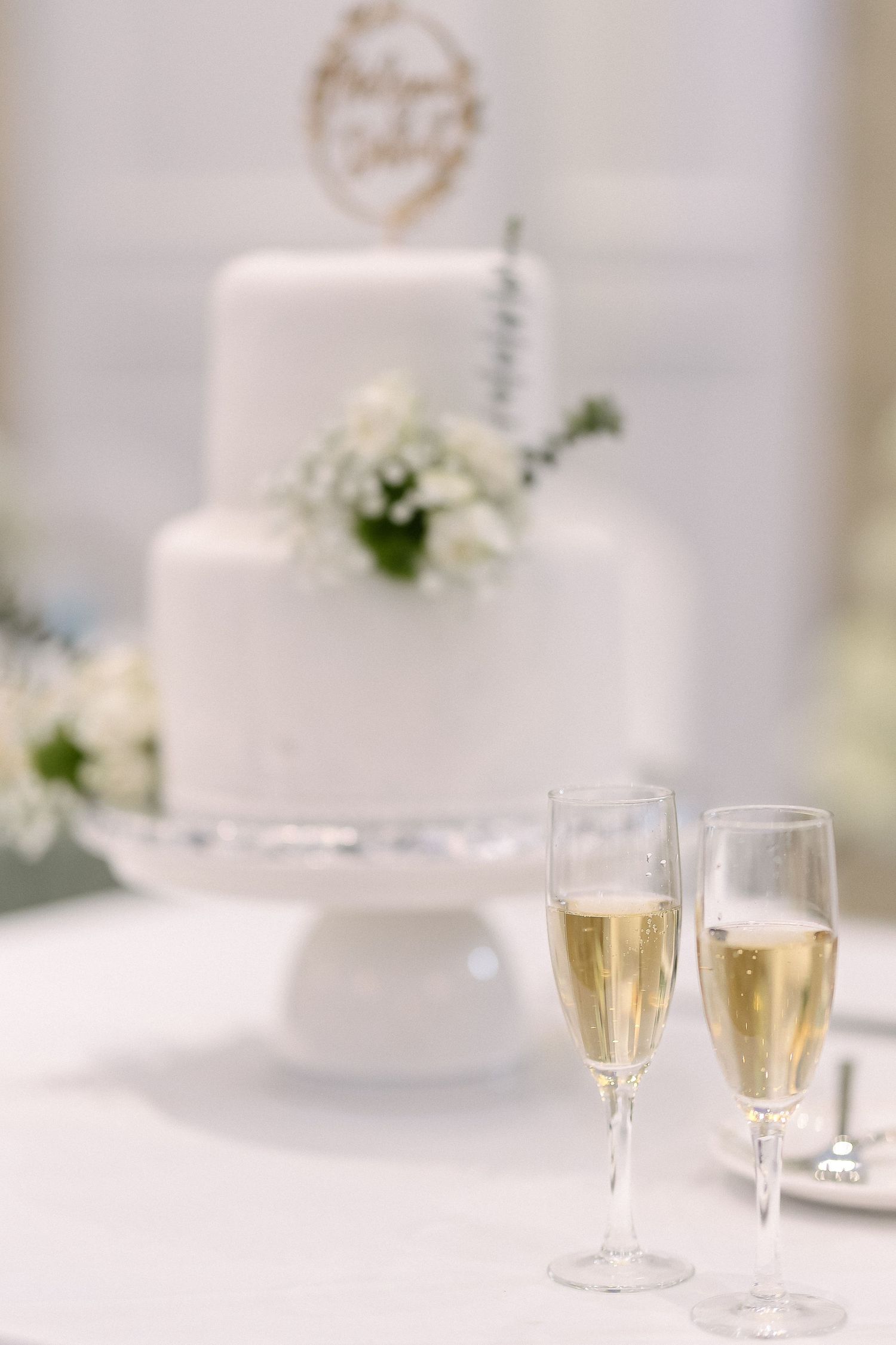 best top profession wedding photographer photography videographer videography Vancouver Langley chilliwack Surrey Fraser