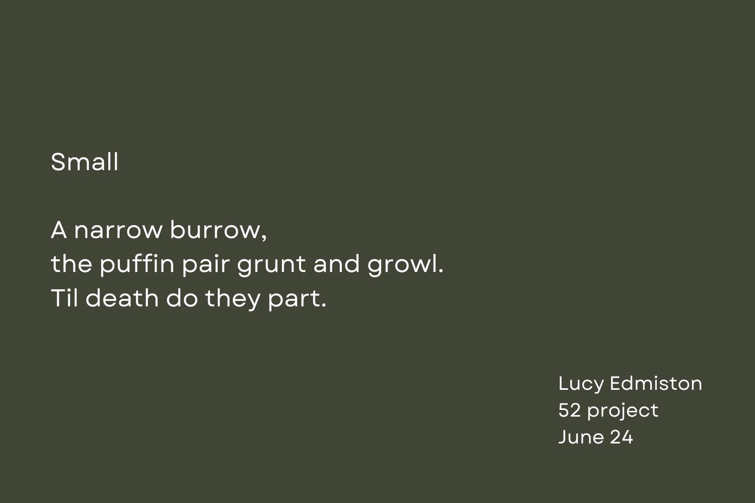 A dark green text card showing a short poem about puffins in their burrow.