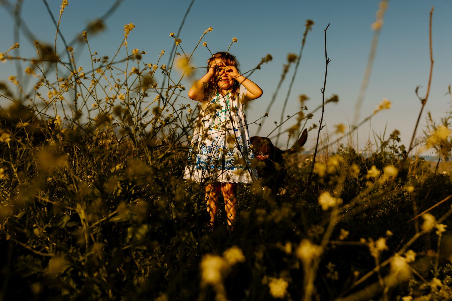 Sofia making imaginary binoculars in the middle of a field full of flowers during the spring photo session.