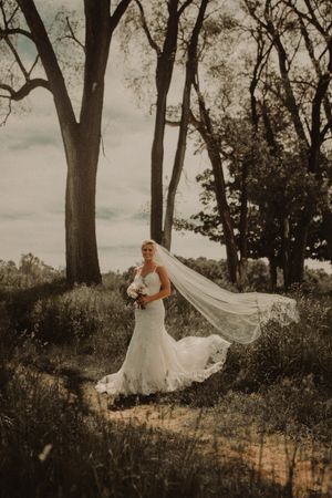Dramatic bridal portrait with flowing veil against tall trees in a moody outdoor setting at dusk.