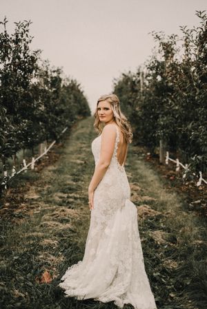 A lace wedding dress with an open back is showcased in an apple orchard with rows of trees in the background.