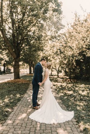 Newlyweds share intimate moment on tree-lined pathway in golden sunlight.